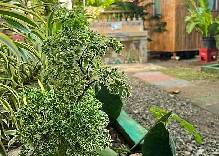 Hotel Garden