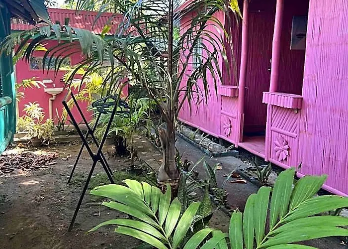 Garden Hotel 3*